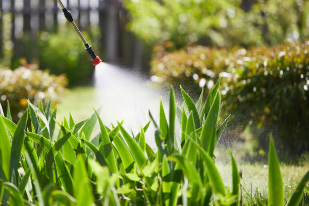 Tamper-Resistant Bait Stations for Rodents in Edgewood